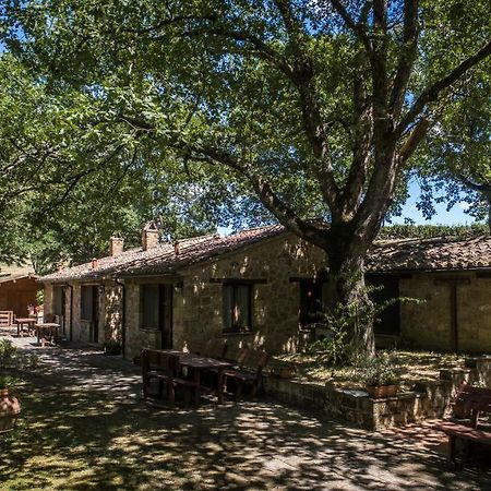 Poggio Cava Villa Sovana Esterno foto